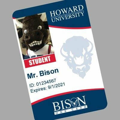 Bison One Card