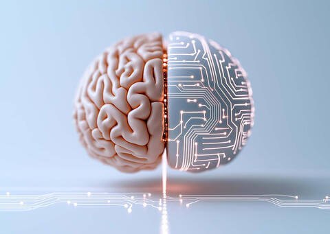Model of a brain with circuitry on one side